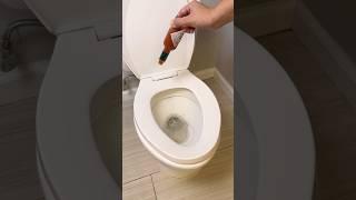 Put Pepper in Your Toilet and Watch What Happens! #homehacks #cleaning
