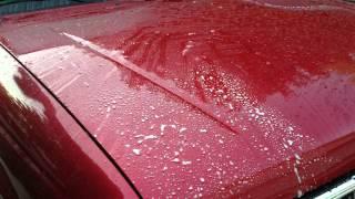 CarPro HydrO2 Touchless Sealant vs. Chemical Guys Signature Series Orange Degreaser 1:15