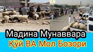 МАДИНА МУНАВВАРА ШАХРИДАГИ. КУЙ. МОЛ. БОЗОРИ.ДЕКАБР.2018