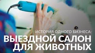 Мобильный салон красоты для животных