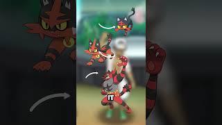 KITTLE! The unofficial pre evolution to Litten #pokemon #litten #pokemonart