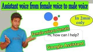 How to change Google assistant voice from Female to Male or vice-versa