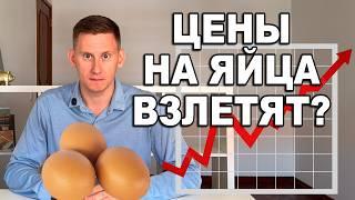 ЦЕНЫ НА ЯЙЦА СНОВА ВЫРАСТУТ! Цены на яйца в России и США. Инфляция в России 2024-2025