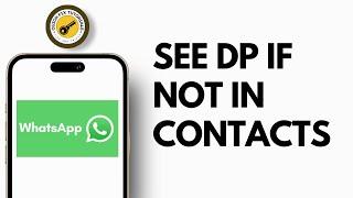 How To See Whatsapp DP If Not In Contacts 2024