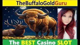 LOTS of BONUS ROUNDS on BUFFALO GOLD!