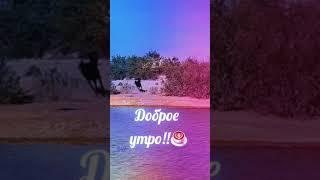 Доброе утро!!