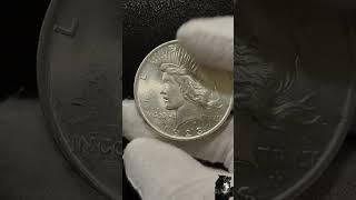 World Coin: 1923 Peace Dollar, USA