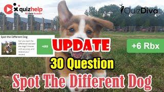 Spot The Different Dog Quiz Answers 100% | Earn +6 Rbx | Quiz Diva