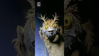 Unknown Creatures of the Abyss: The Hidden Monsters of the Deep Sea