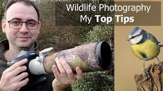 Wildlife Photography for Beginners: 5 Tips with Paul Miguel Photography