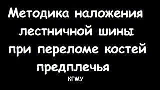 Техника наложения лестничной шины при переломе костей предплечья - meduniver.com