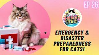 Emergency & Disaster Preparedness for Cats!