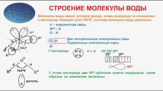 № 196. Неорганическая химия. Тема 23. Вода. Часть 2. Строение молекулы воды