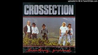 CROSSECTION ~ Too Much Sadness [AOR]