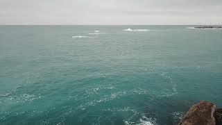 relax   4K