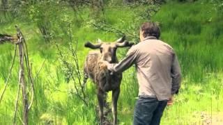 Flavours of Scotland with Paul Lister on Rewilding at Alladale Wilderness Reserve