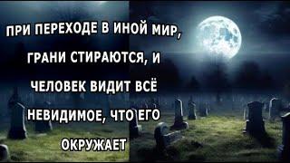 "Торговка сладостями". Александр Райн.