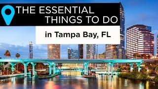 The Essential Things to Do in Tampa Bay, Florida