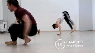 Bambusz Test Projekt | Mandala Movement