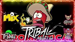 Tribal Mega Mix Febrero 2022  Lo Mas Chingon Del Tribal Mix  Tribal Tumbado Mix HD Sound