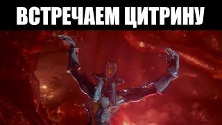 Warframe | СТРИМ  | Смотр обновления "Последнее Желание Цитрины" 