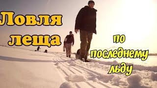 Казахстан.Темиртау.Ловля Леща По Последнему Льду #рыбалка #рыбалкаказахстане