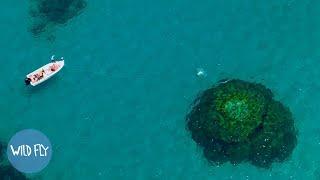 The Greatest Fishing Spot on Earth (w/ Brooksy)