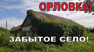 Когда то большое село Орловка. Данковский район. Липецкая область