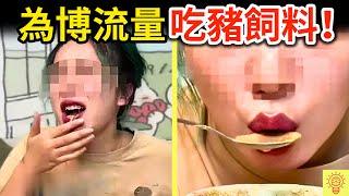 為了流量沒底線！中國網紅吃豬飼料、用鞋吃飯、還偷住急診室，結果下場超活該！