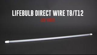 T8 Direct Wire LED Tube | Product Spotlight: LifeBulb