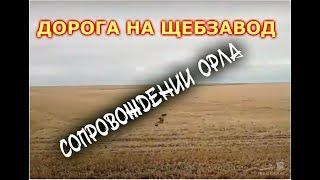 ДОРОГА НА ЩЕБЗАВОД , В СОПРОВОЖДЕНИИ ОРЛА.