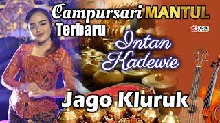 Campursari TERBARU Jago Kluruk '' Intan Kadewie