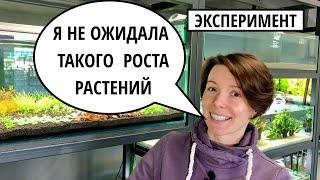 8 ПРАВИЛ ГОЛЛАНДСКОГО АКВАРИУМА | ЭКСПЕРИМЕНТ - АКВАРИУМ ТОЛЬКО НА МЕРИСТЕМЕ | ФИЛЬТР OASE BioMaster