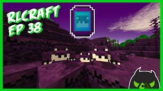 Book Wyrm Farm! | RLCraft S2 Ep: 38