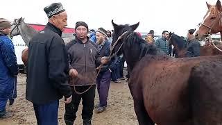 Асп бозори Ленски Раен 20-ноябр навори тоза.