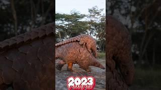 2023 pangolin VS 5000 bce Pangolin #shorts @mrbeast #mrindianhacker #mrbeast