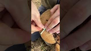 Waterproof matches #survival #bushcraft #outdoors #camping