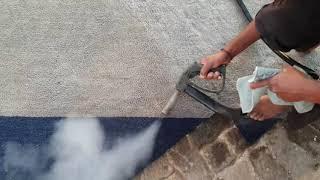 Steam Cleaning and Sanitising Carpets using the Fortador Pro S