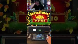 4 ШТОРКИ В ПЧЁЛАХ, ЧТО??? #бонус #slot #bigwin #casino #заносынедели #заносы #бонуска #jackpot