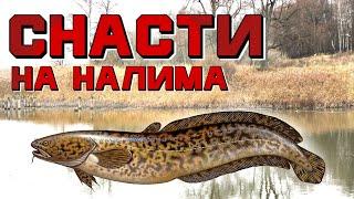 Лучшие снасти для ловли налима! Как и на что ловить налима?