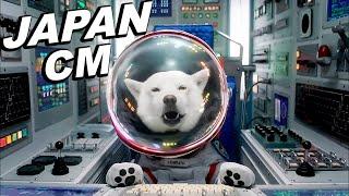 JAPANESE COMMERCIALS 2023 | Special Softbank dog! (Midnight Sumo) - ENG SUB