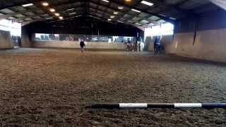 Dressage to music
