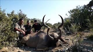 South Africa Safari 2019 Day 2 Hunting Kudu Bushbuck with Sabatti Saphire ER and Leupold VX5 HD