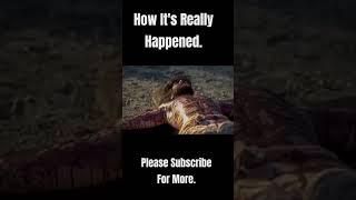 how Jesus was really crucified------️-- #youtube #jesus #pray #god #shorts #fypシ