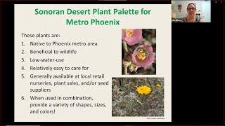 Phoenix Native Landscaping Plants & Where to Find Them