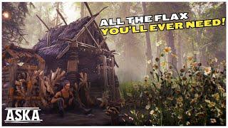 ASKA Beginners Guide: First 3 days and Farm Rush