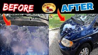 How To  Repair PEELING Clear Coat For Under $35 Bucks......  Blue Bomber Hood Fix