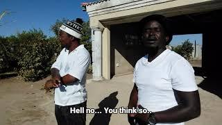 Malome kat's black friend