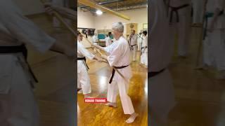 Kobudo Practice #kobudo #martialartstraining #shokenschoolofkarate #shorts