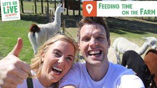 Feeding Time On The Farm | Out & About Ep3 | LET'S GO LIVE with Maddie and Greg #54